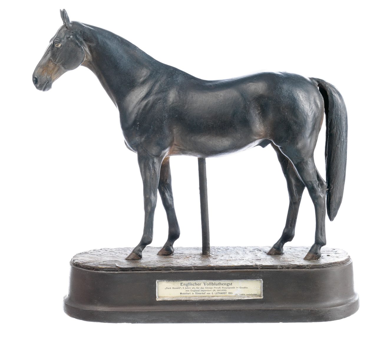 Thoroughbred Stallion "Dark Ronald"