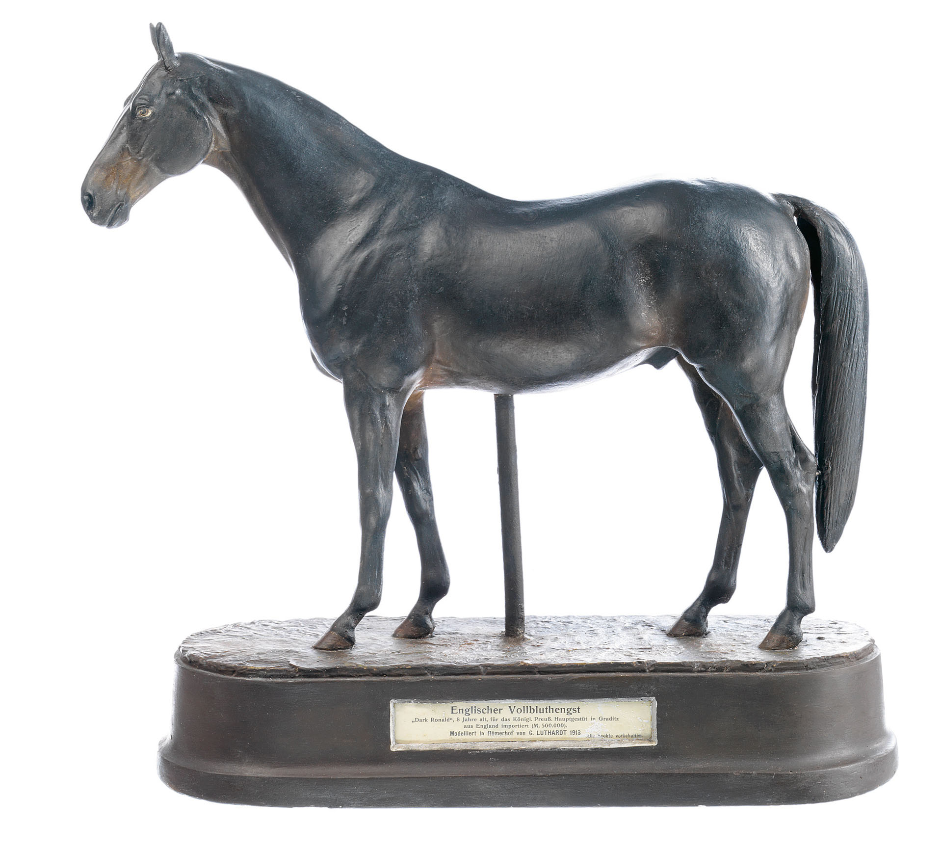 Thoroughbred Stallion “Dark Ronald”