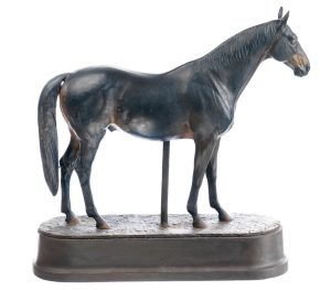 Thoroughbred Stallion "Dark Ronald"