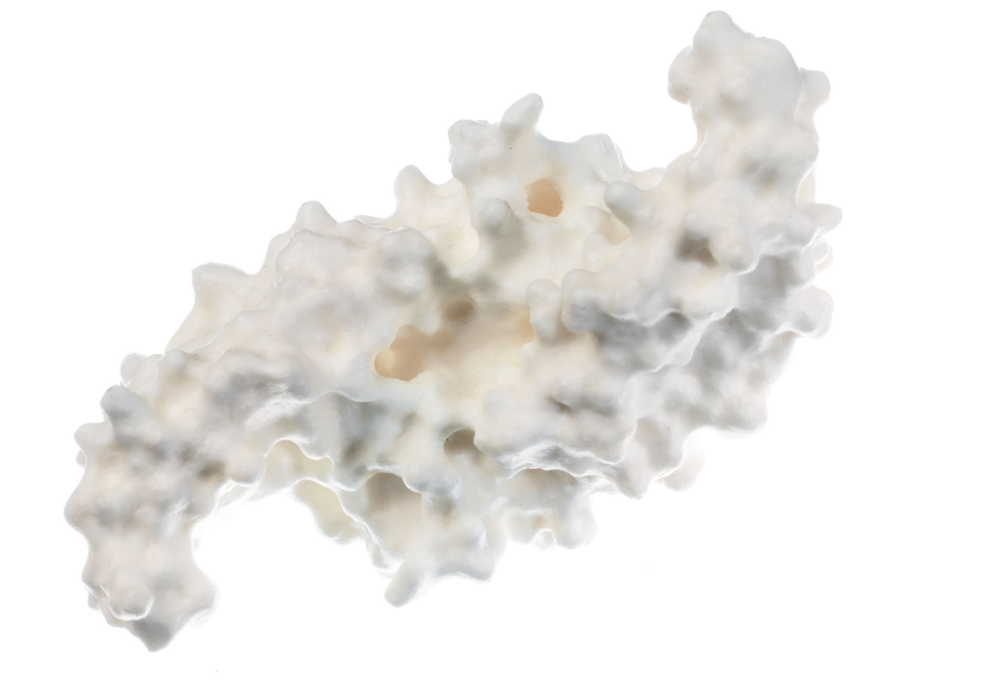 Protein Model (Human Bone Morphogenetic Protein BMP-2)