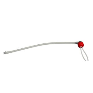 Replacement Urostomy Stoma with Stents