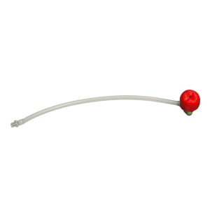 Replacement Colostomy Stoma