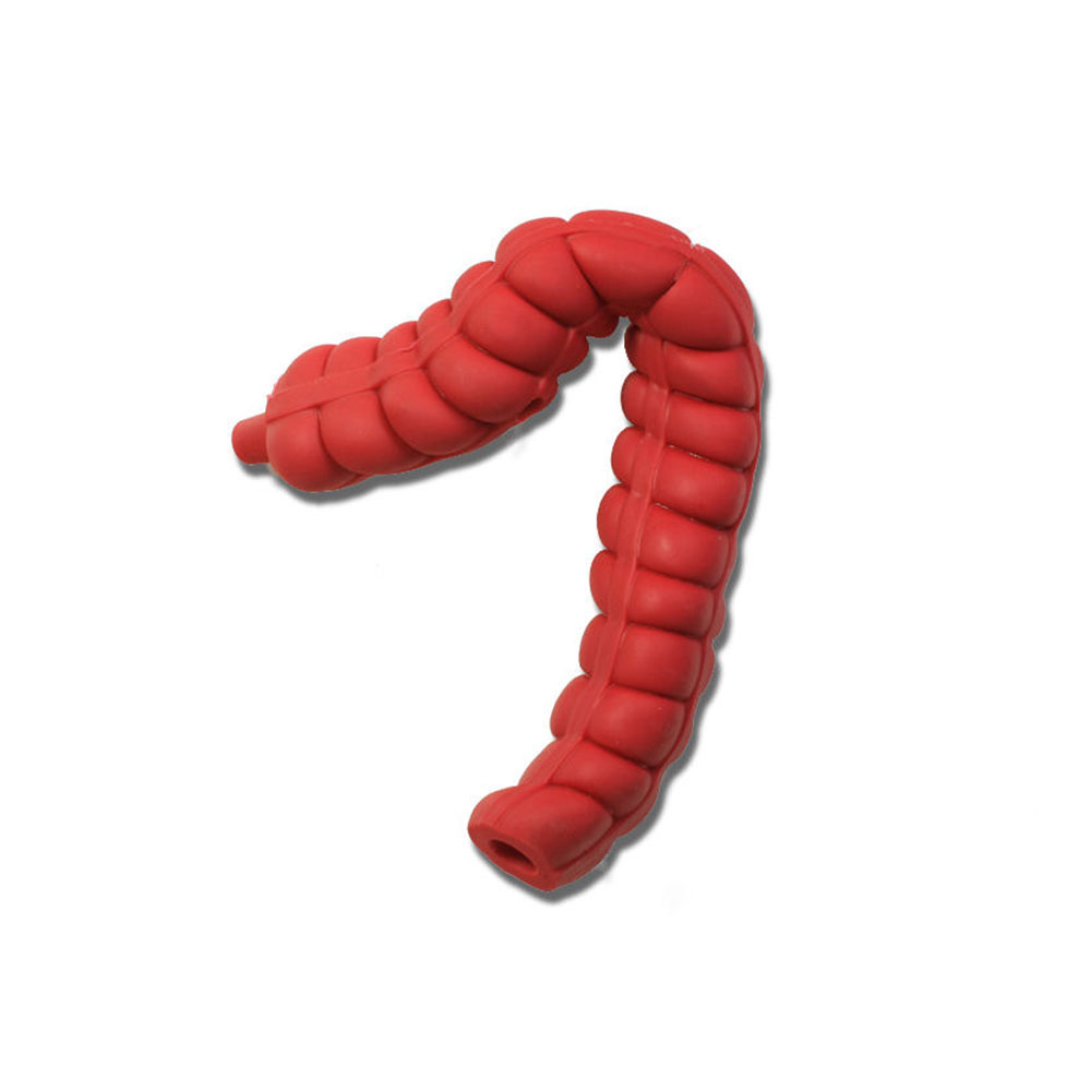 Transverse/Descending Large Intestine