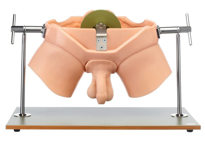 Urological Practice Trainer
