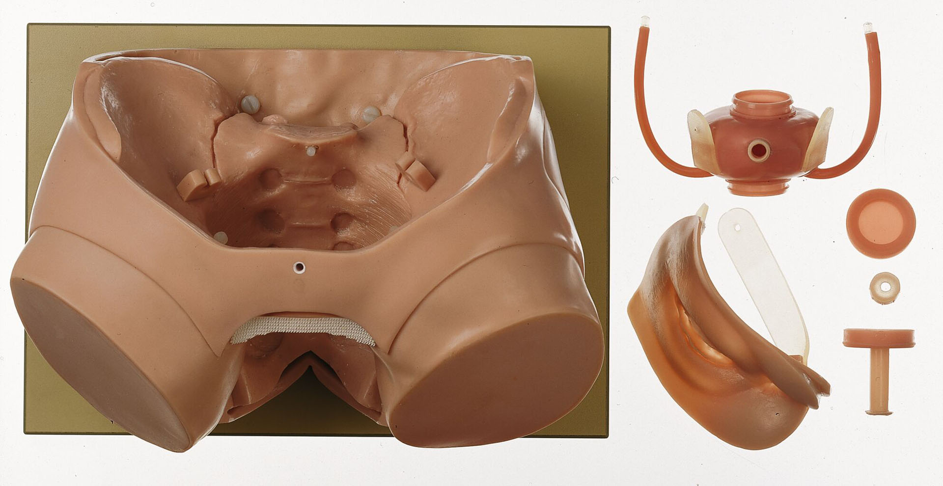 Bladder Phantom for Endoscopy