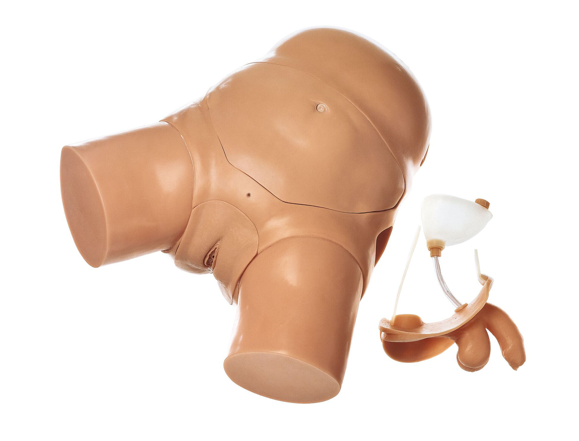 Male/Female Catheterisation Trainer