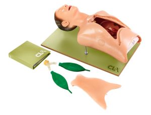 Intubation Phantom