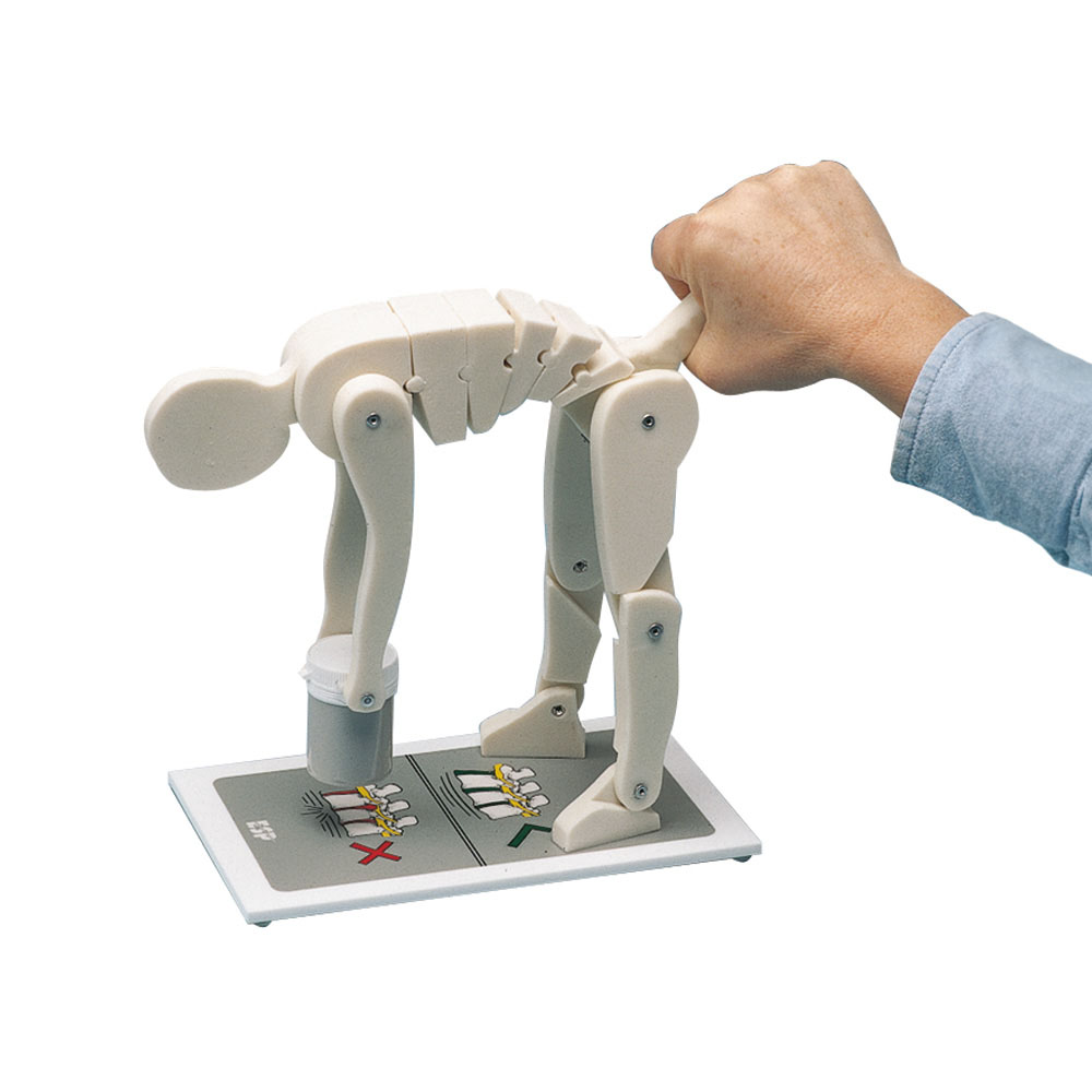Lifting Manikin