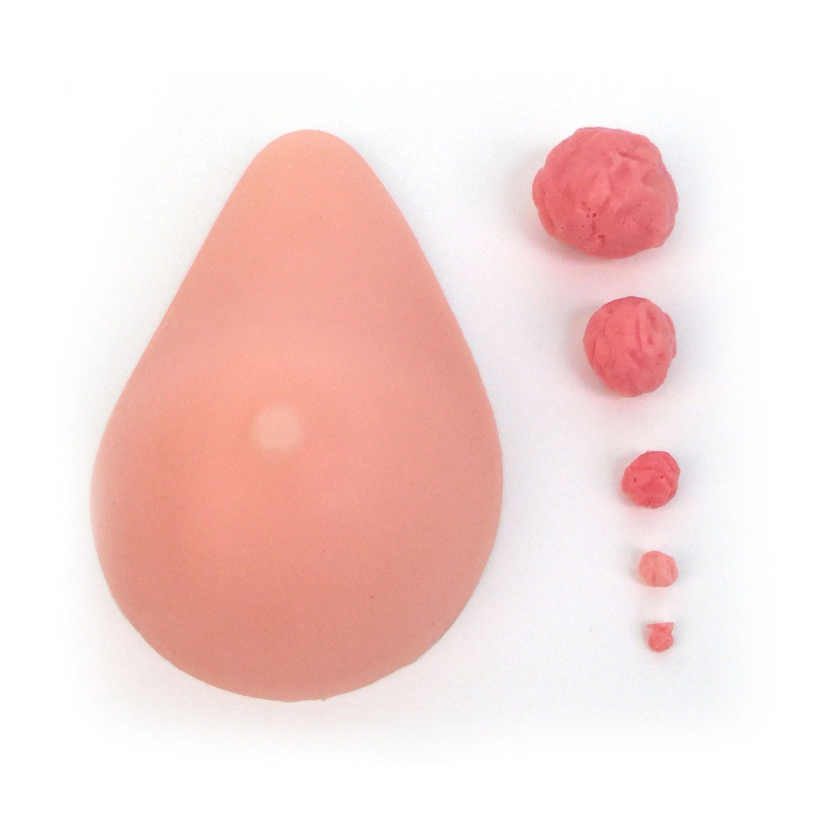 Interchangeable Nodule Breast Self Examination Trainer