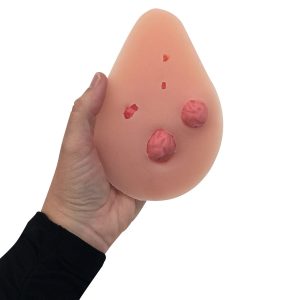 Interchangeable Nodule Breast Self Examination Trainer