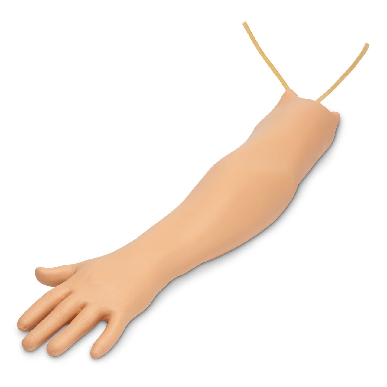 Haemodialysis Practice Arm
