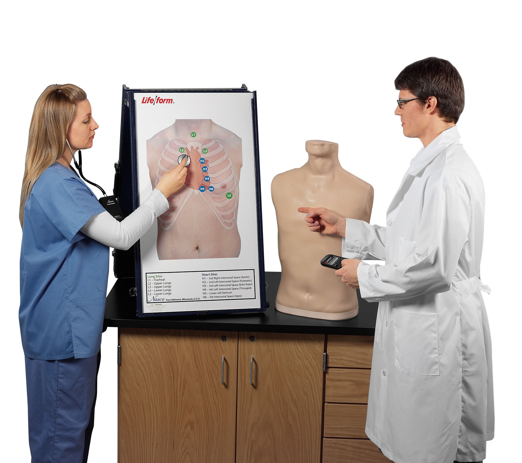 Auscultation Training Station With Anterior Auscultation Board