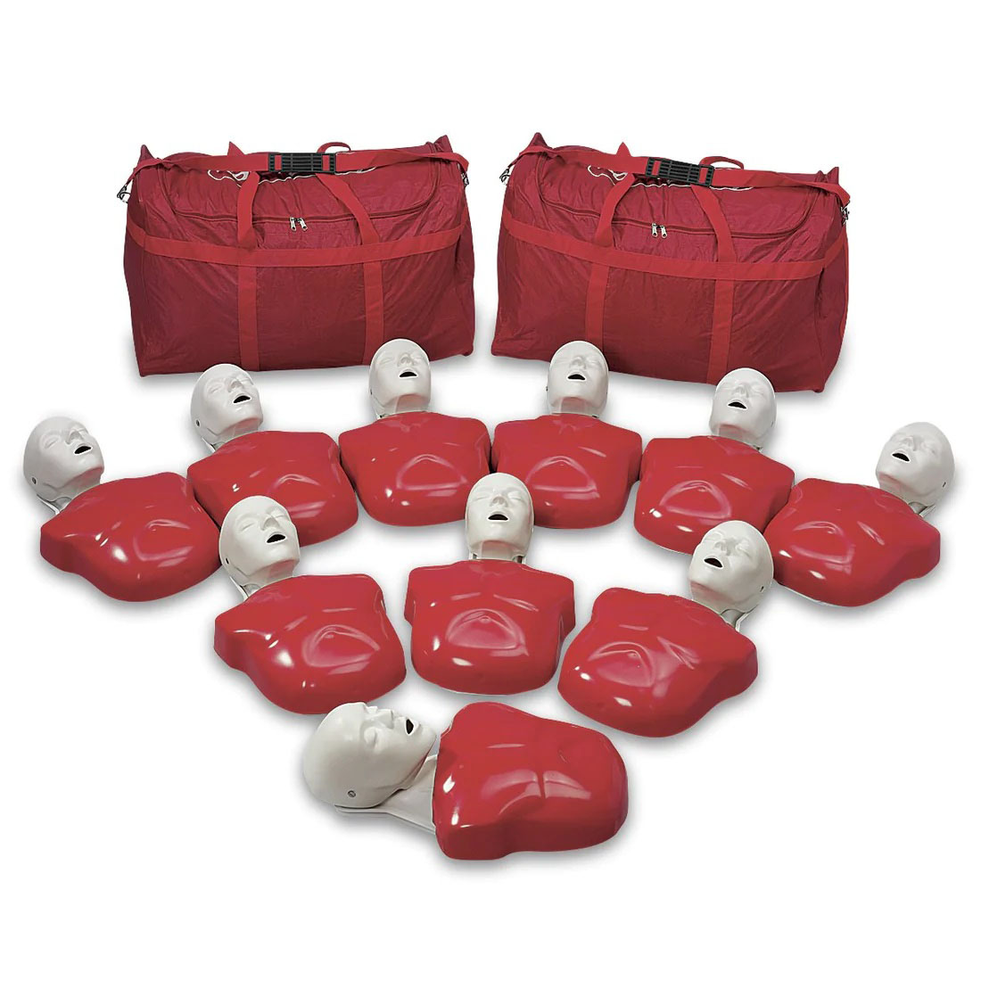 Basic Buddy (Pack of 10)