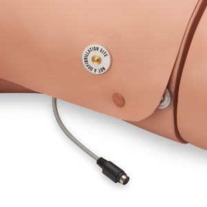 Adult ALS Full Body Trainer