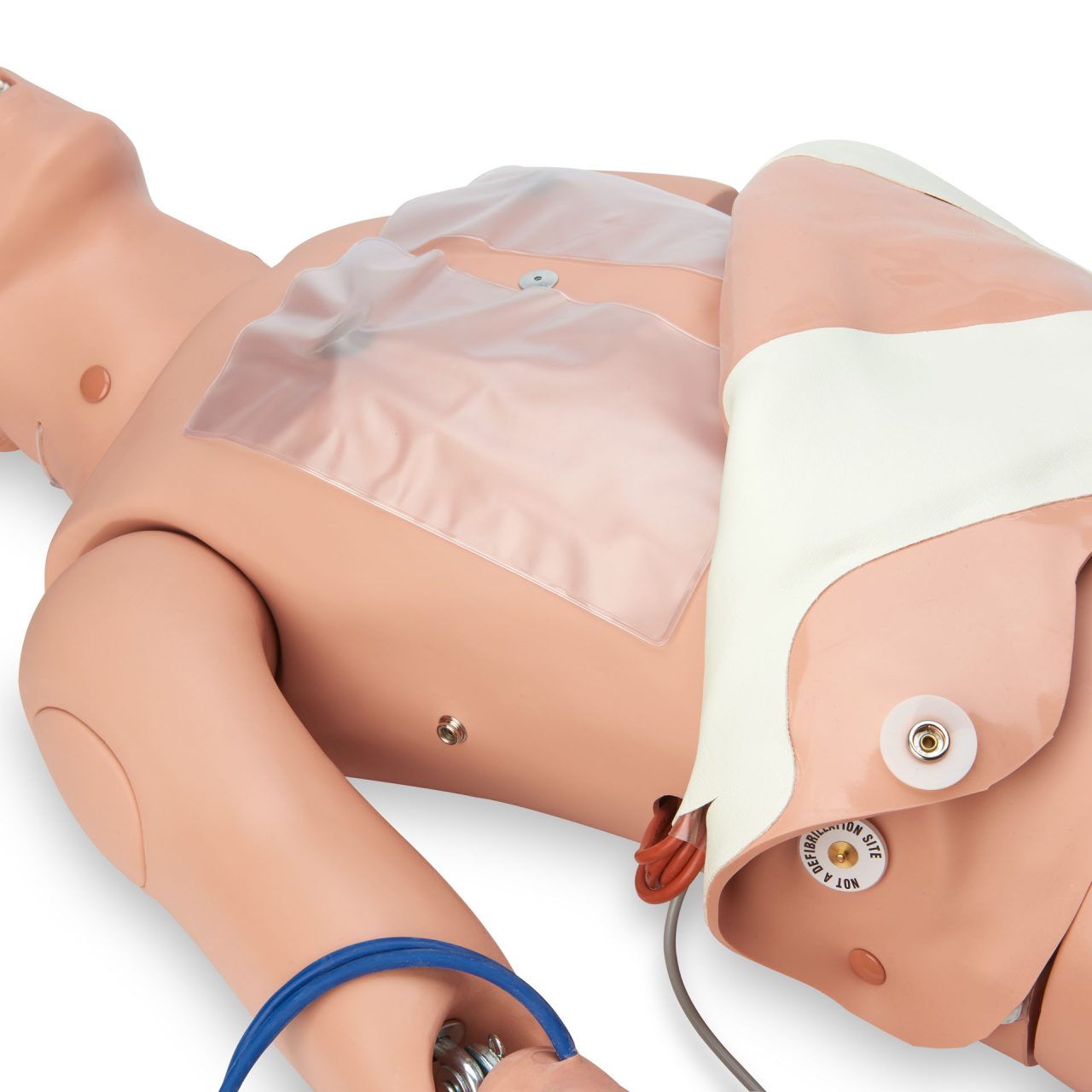 Adult ALS Full Body Trainer
