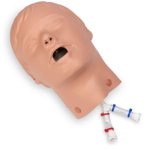 Adult ALS Full Body Trainer