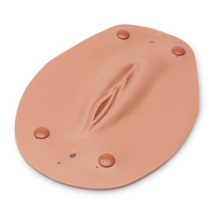 Vulva