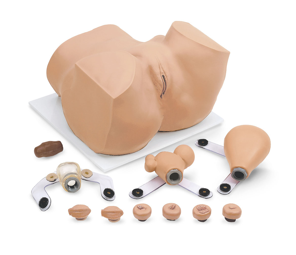 EVA Gynaecological Manikin