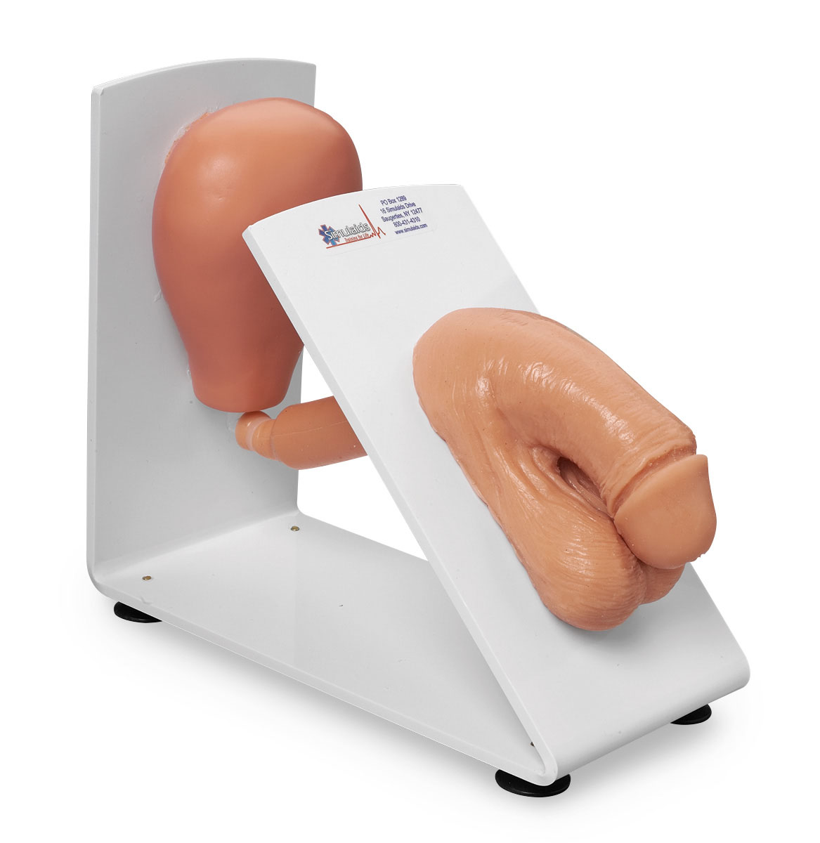 Male Catheter Model