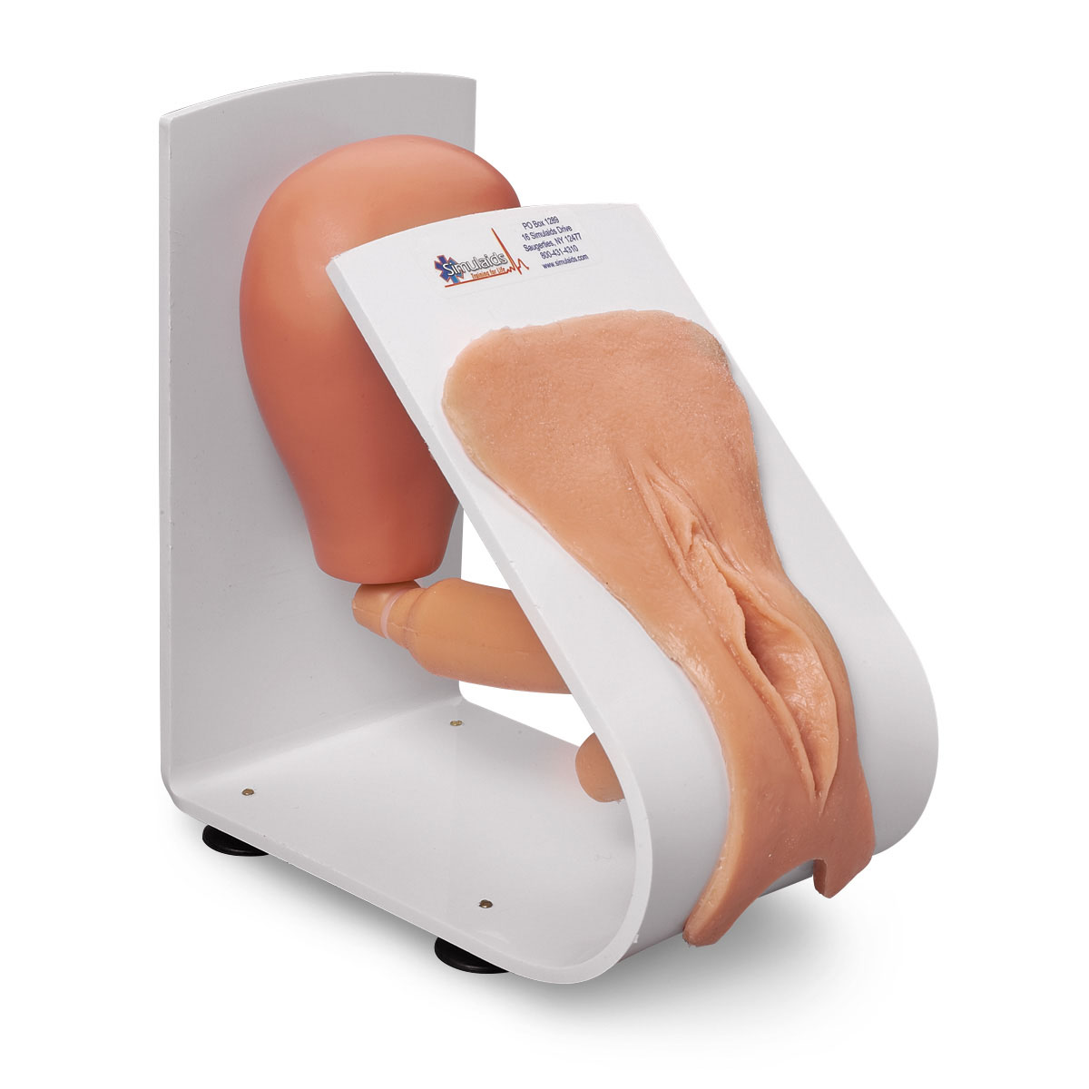 Female Catheter Model