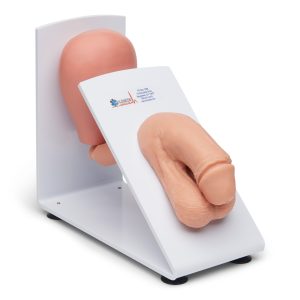 Male and Female Catheter Model Set