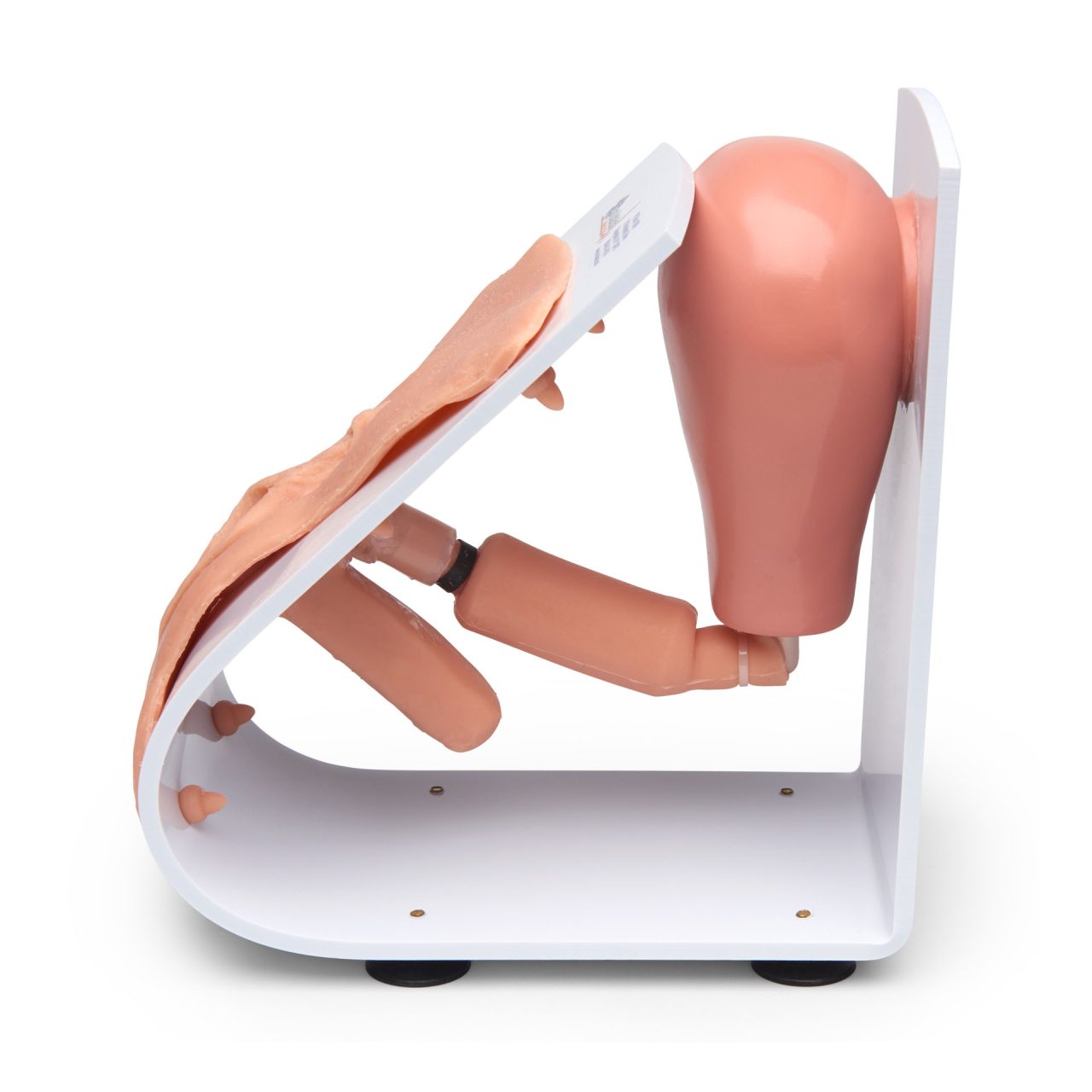 Male and Female Catheter Model Set