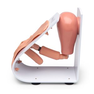 Male and Female Catheter Model Set