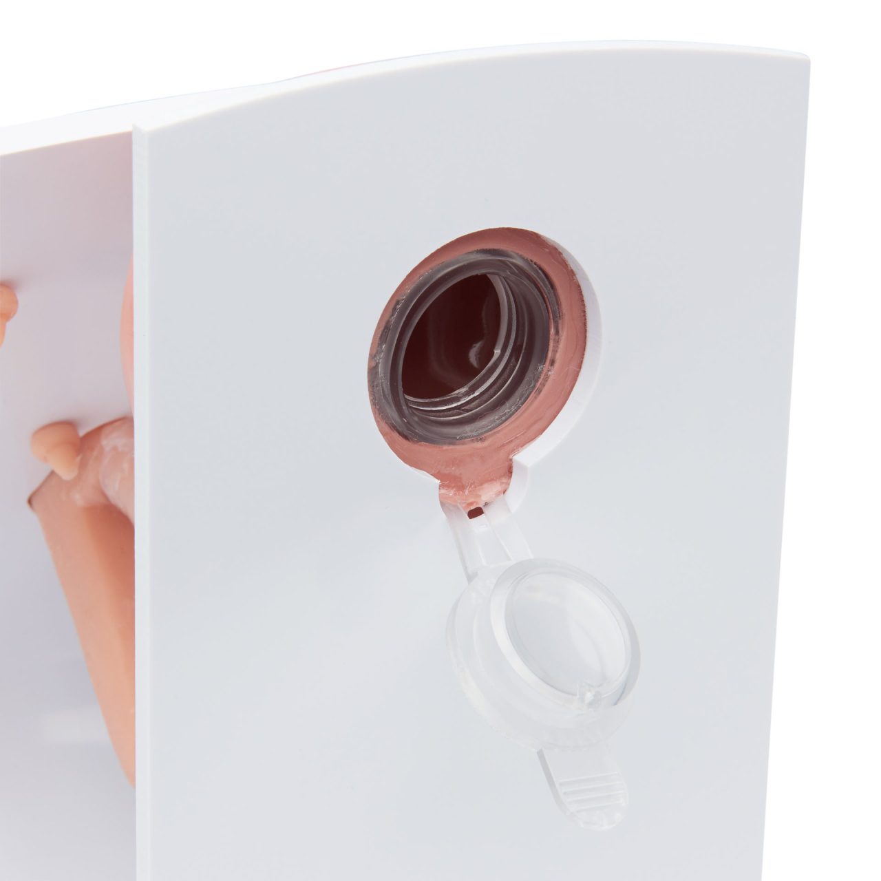 Male and Female Catheter Model Set