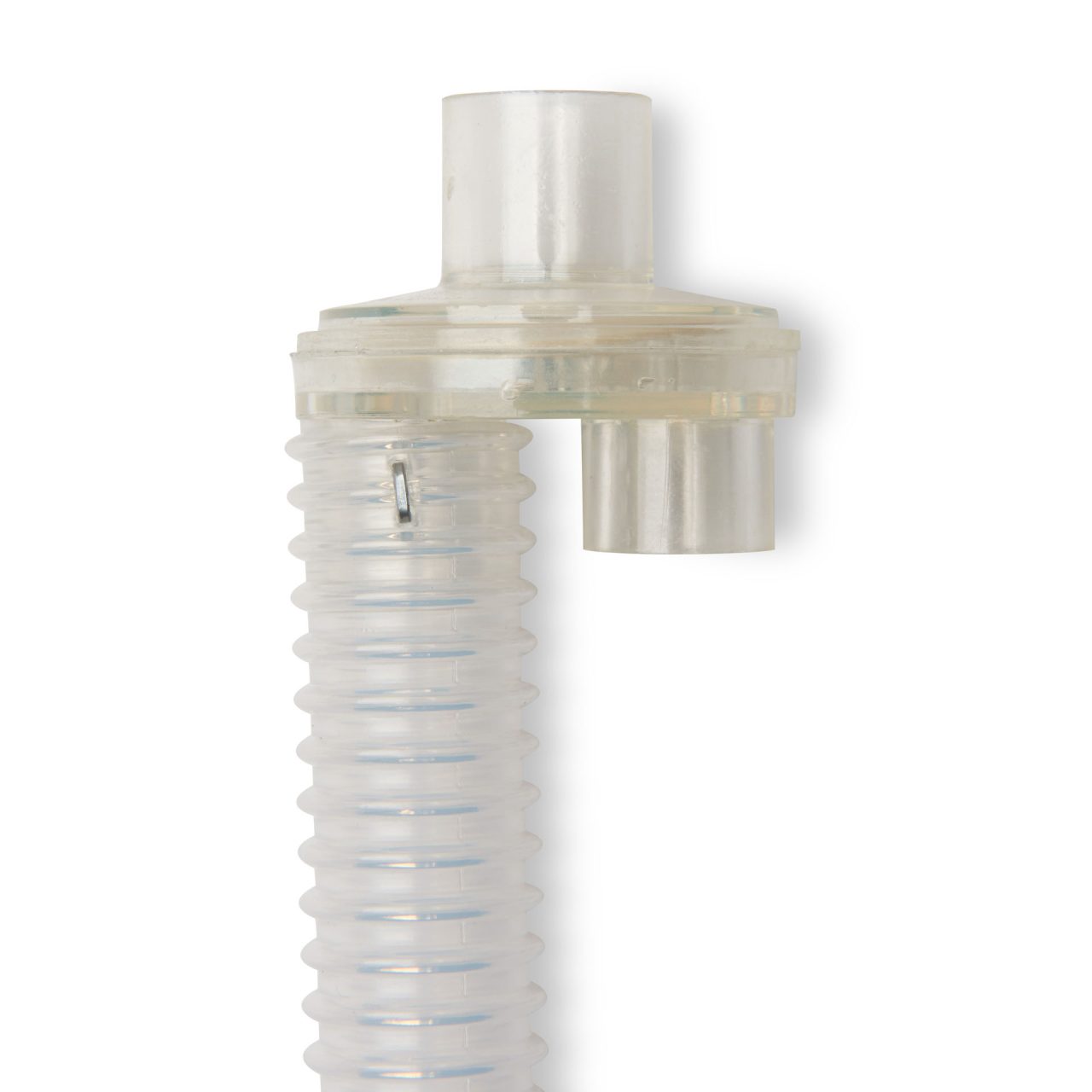 Airway/Lung System (Pack of 10)