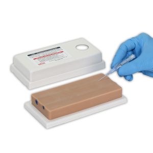 Two Vein Venepuncture Training Aid, Light