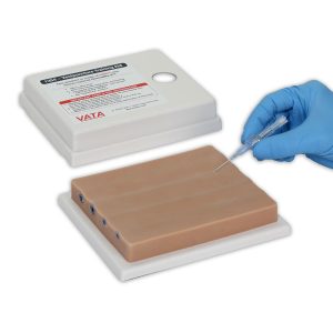 Four Vein Venepuncture Training Aid, Light