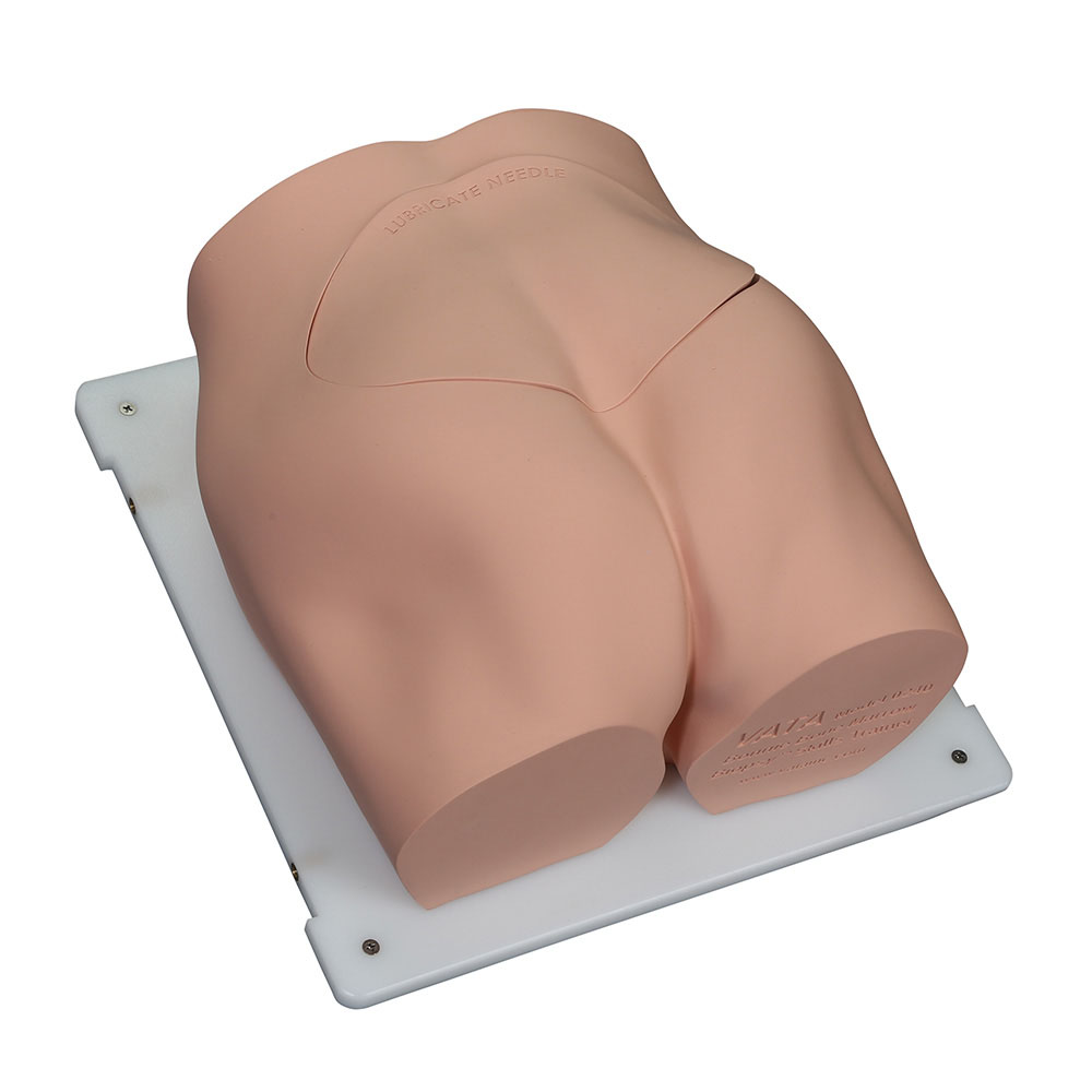 Bonnie Bone Marrow Biopsy Skills Trainer