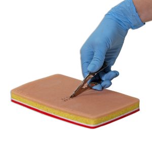 Suture Skills Trainer, Light