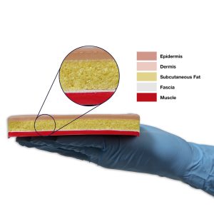 Replacement Tissue Pad, Light