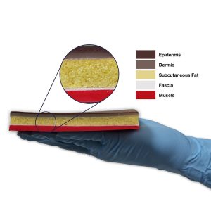 Replacement Tissue Pad, Dark
