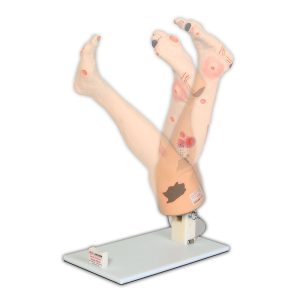Annie Arterial Insufficiency Leg™, Light