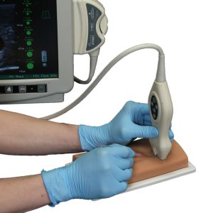 Vascular Access Ultrasound Phantom, Light